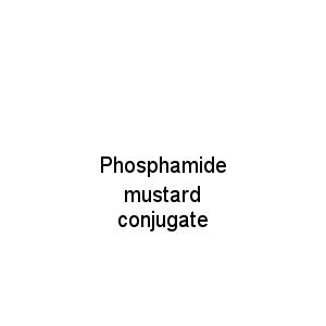 Phosphamide mustard conjugate